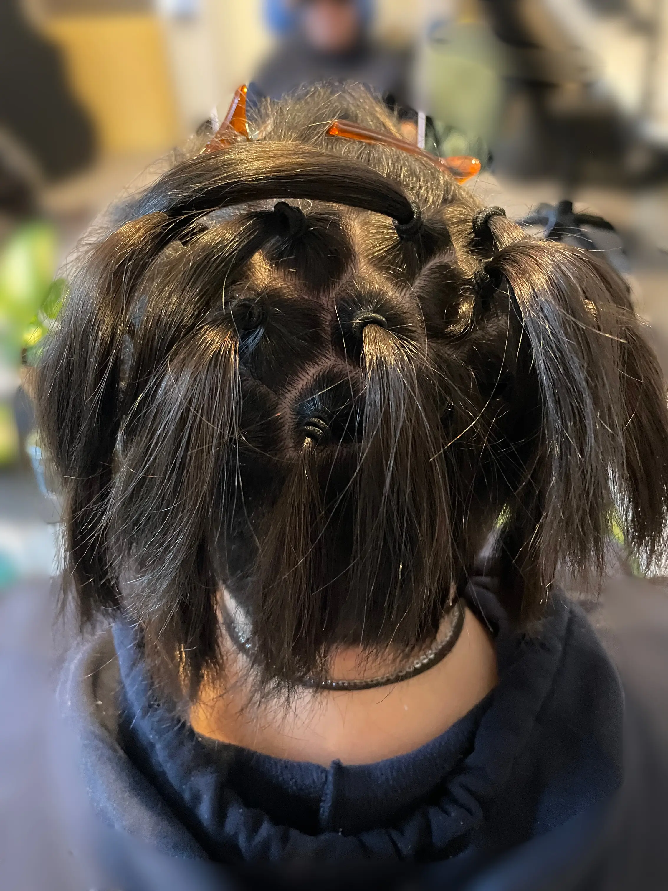 Neuerstellung with Extensions 2